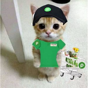 Meet your Posher, Charlotte